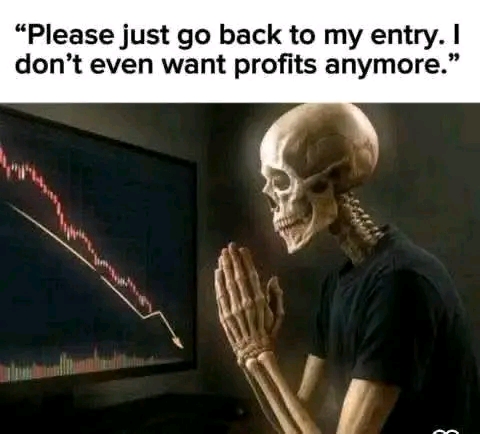 1747237672170.jpg