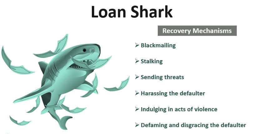 Loan-Shark.jpg